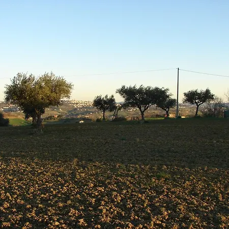 Poggio San Pietro 莫利亚诺