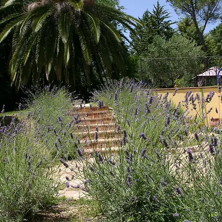 דירה Poggio San Pietro